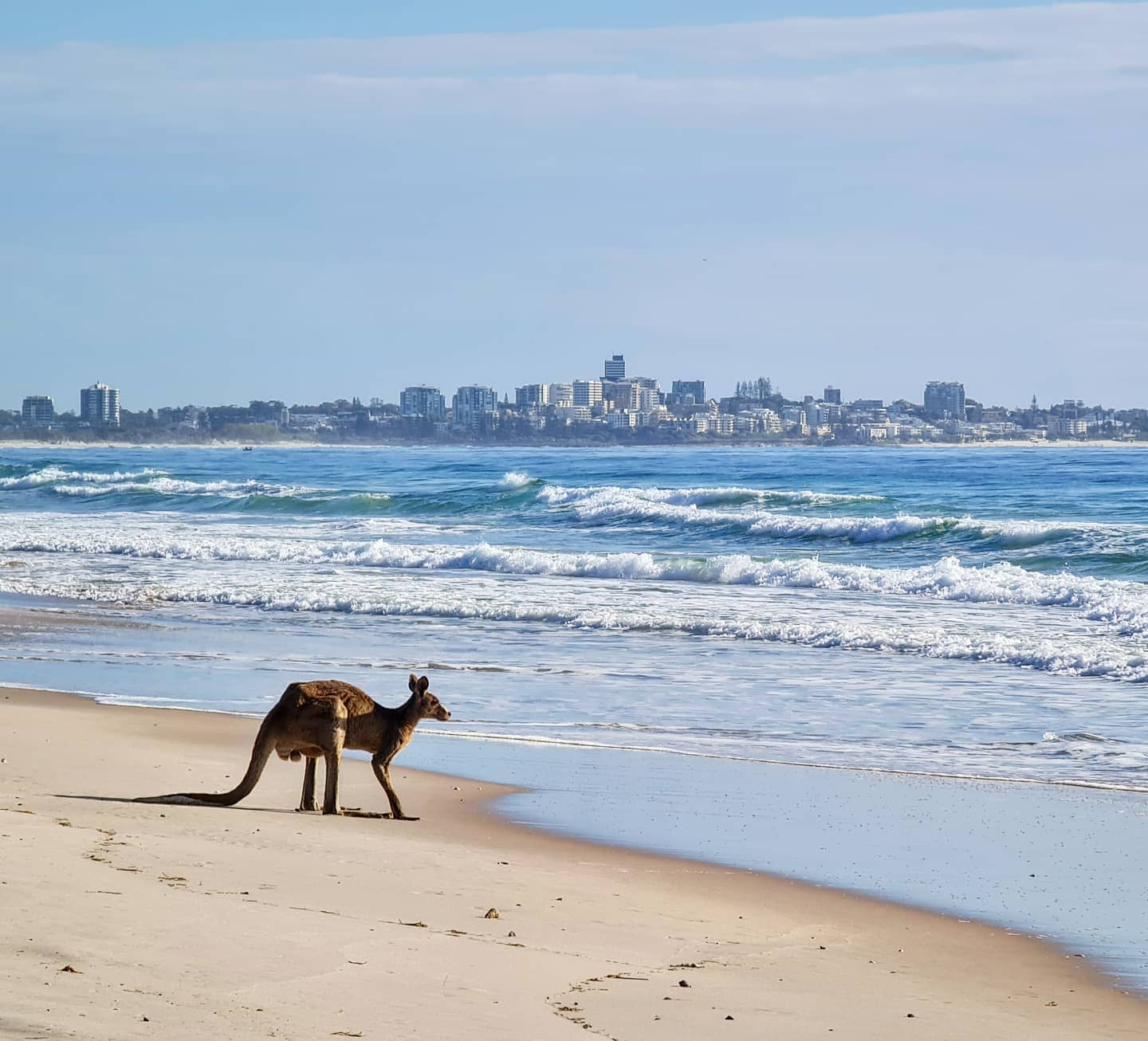 How to Plan Your Adventure Day Tours in Brisbane, Australia?