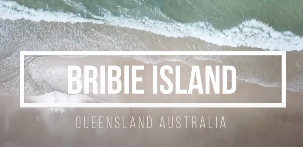 Best queensland beaches top coastal destinations